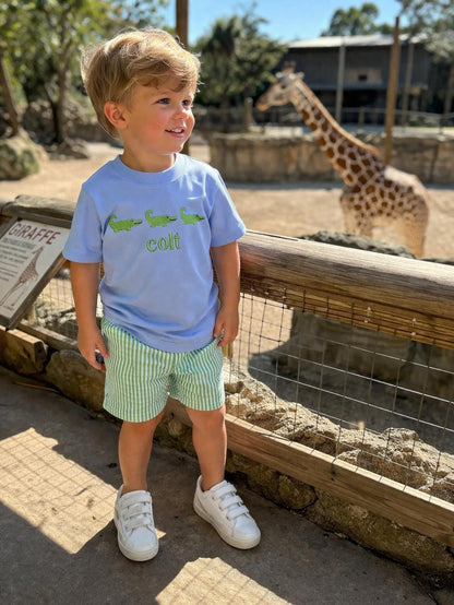 Child in a zoo setting with a giraffe in the background